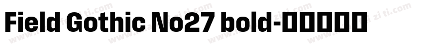 Field Gothic No27 bold字体转换
